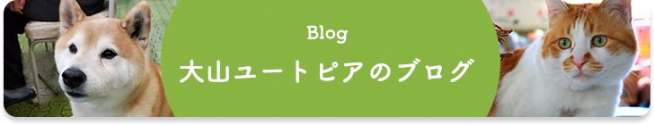 大山ユートピアのブログ